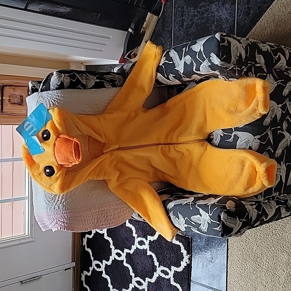 Baby size 3-6 months chick or duckling costume